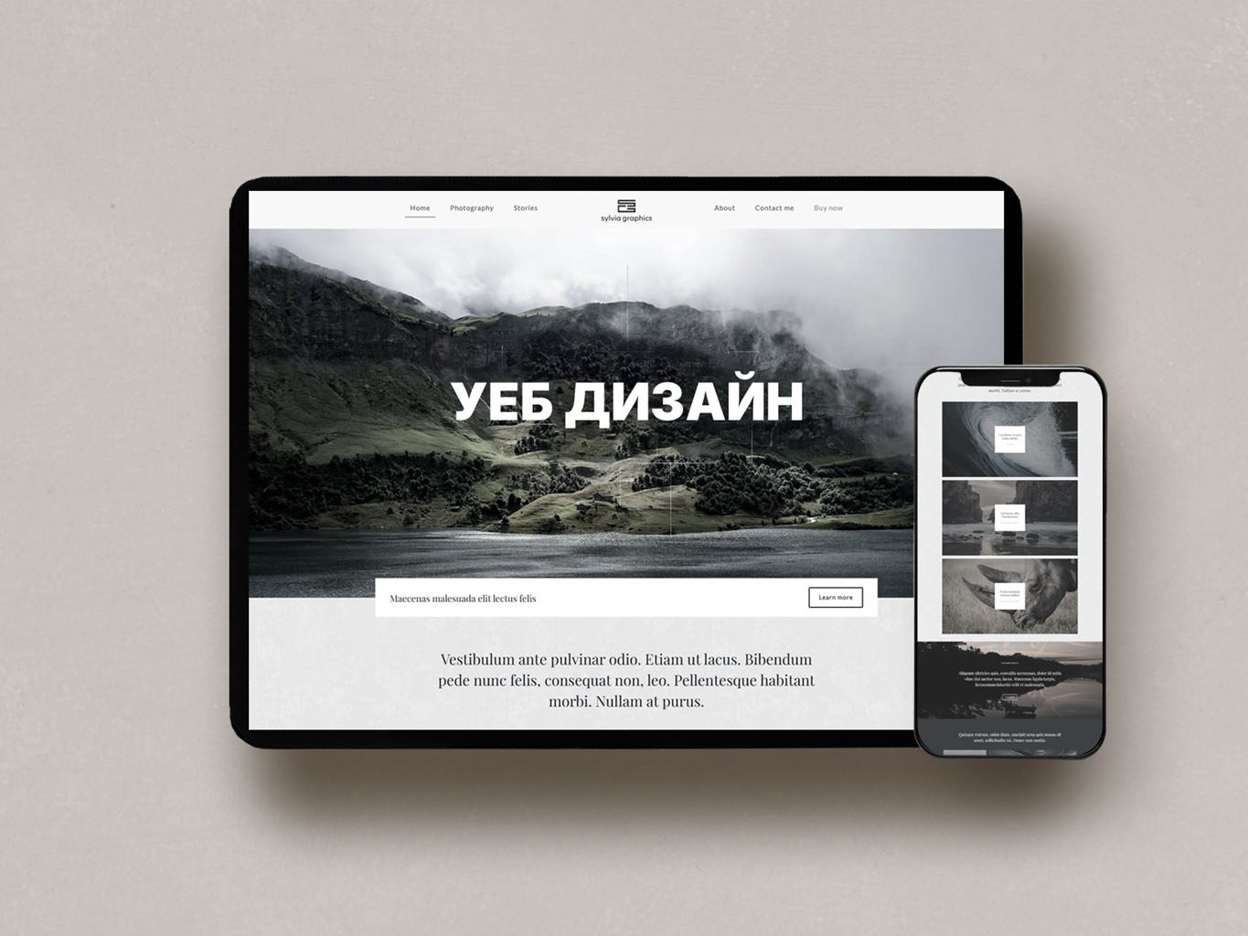 Портфолио и услуги на Sylvia Graphic Studio